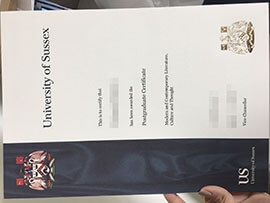 Buy University of Sussex Diploma