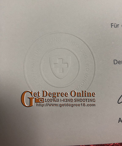 fake Fachausweis Certificate.