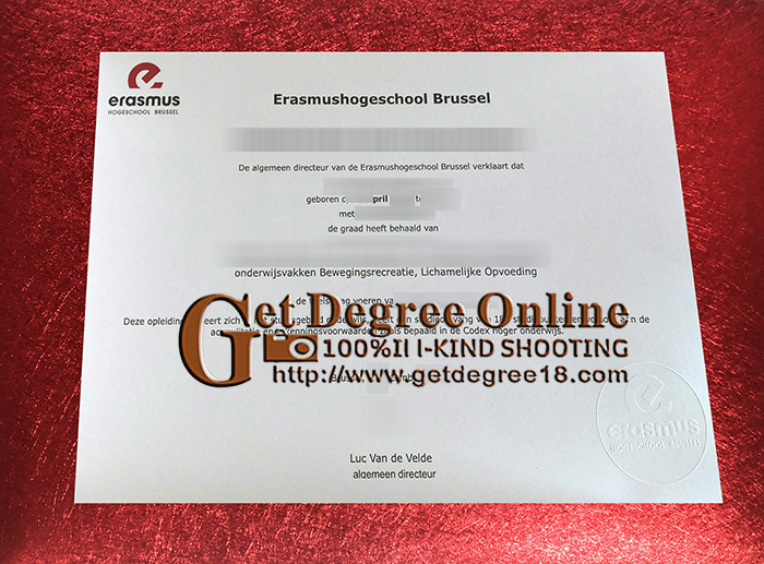 fake Erasmushogeschool Brussel diploma.