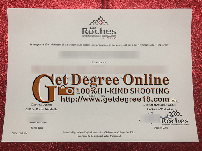 Buy fake Les Roches diploma.