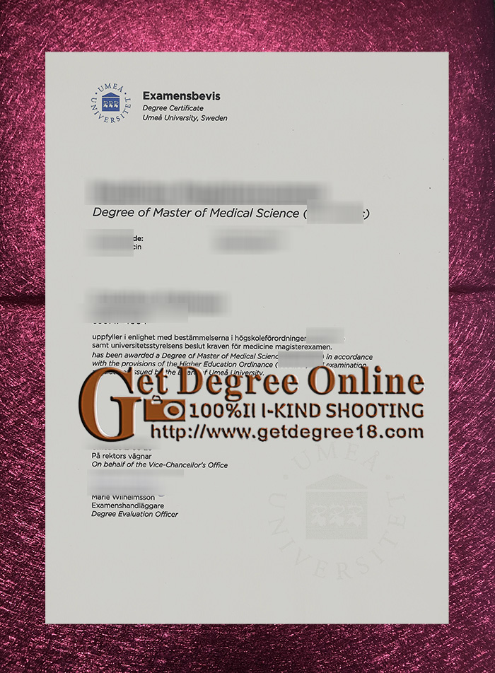Buy fake Umeå University diploma.