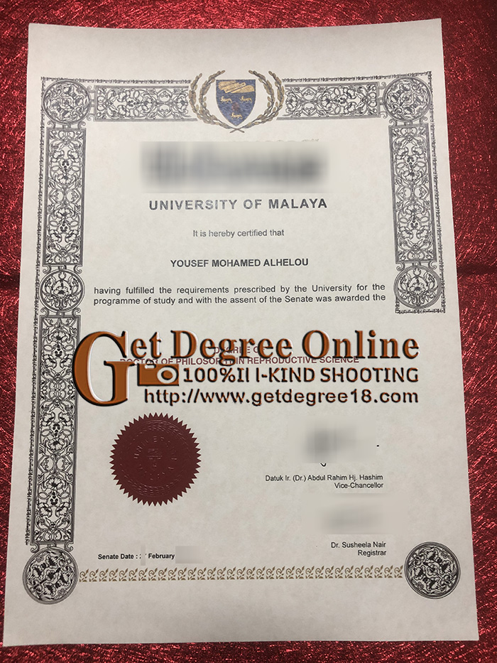 Buy fake (UM) diploma