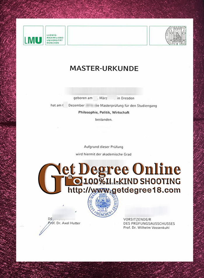 fake (LMU) diploma.