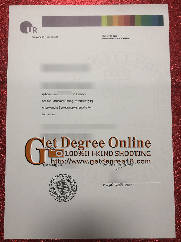 Regensburg University fake Diploma.