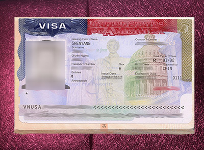 Buy fake US visa online