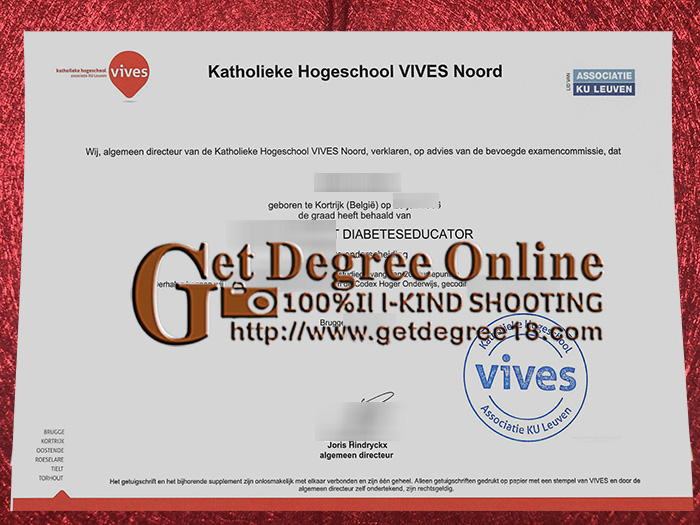 Buy Fake VIVES Diploma