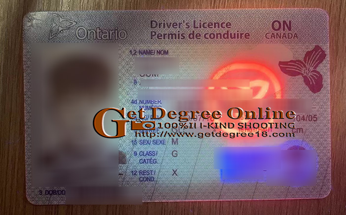 fake Ontario driver's license