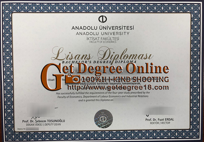 Fake Anadolu University Diploma