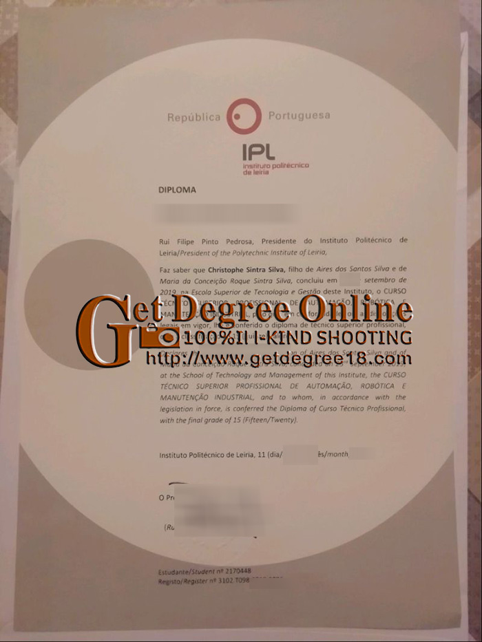 Buy fake IP Leira diploma