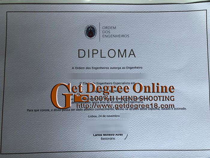 Buy OE fake diploma