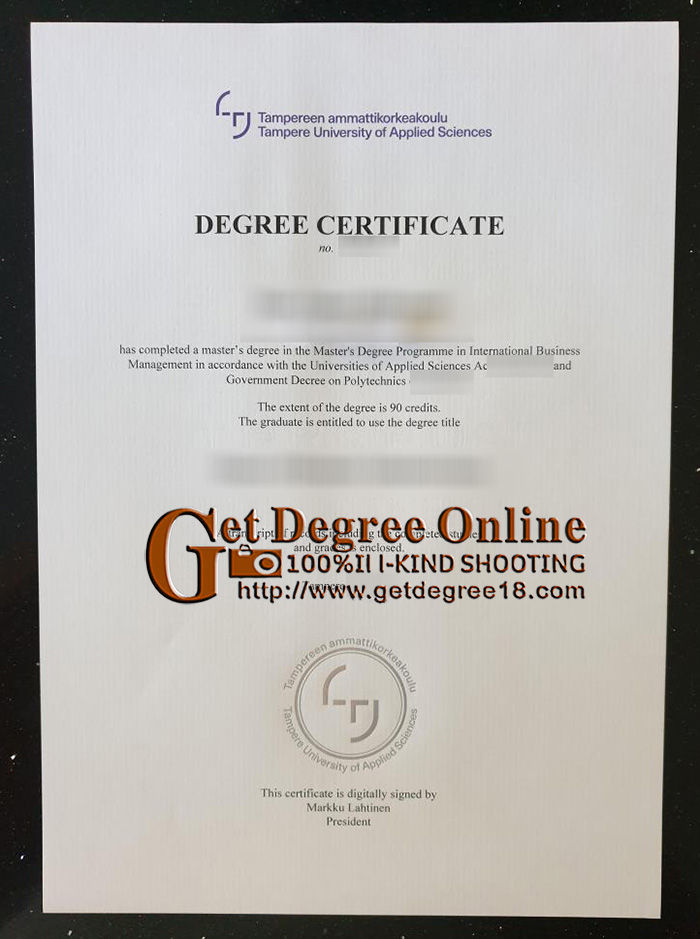 Fake TAMK Degree Certificate