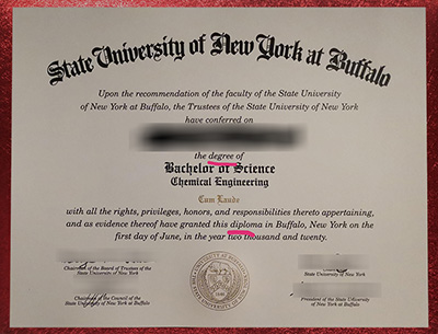 Buy fake UB diploma
