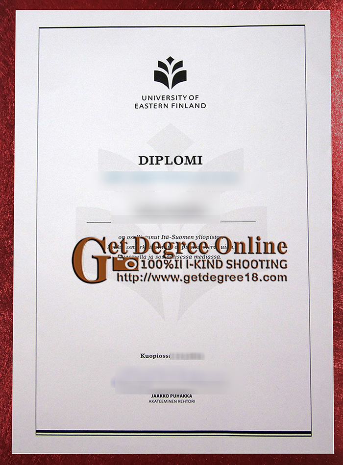 Buy fake UEF diploma