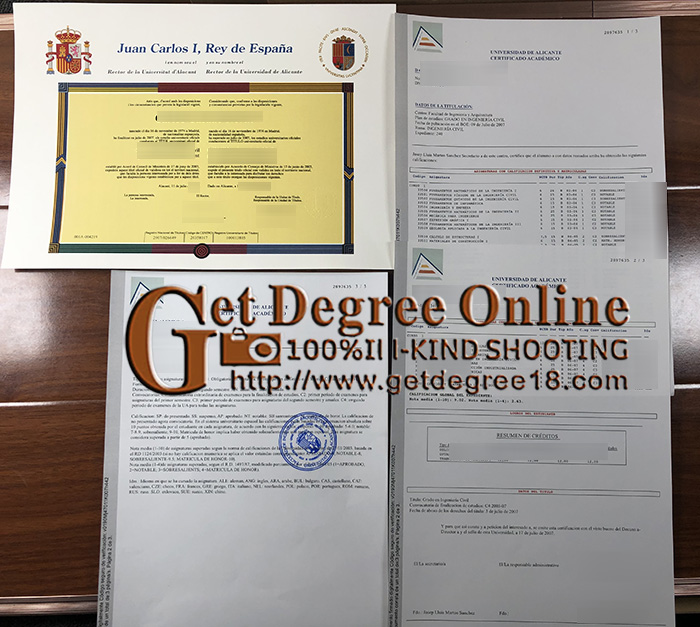 Buy Universidad de Alicante Diploma