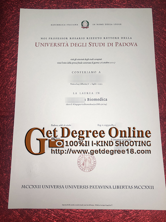 Buy Università degli Studi di Padova Diploma