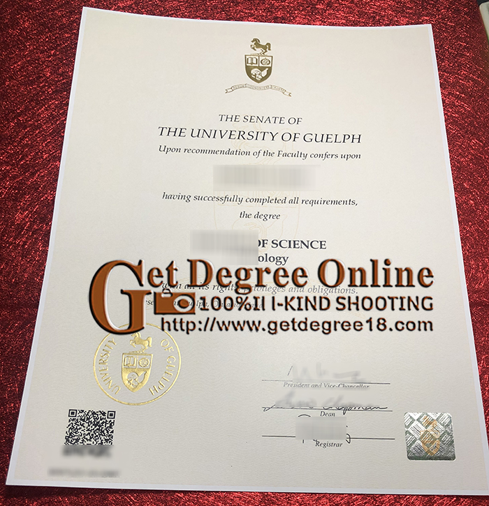 Fake University of Guelph Diploma