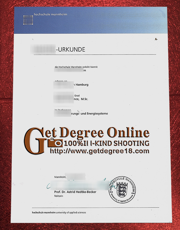 Fake UMA Diploma