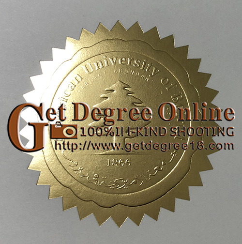 Fake AUB Diploma