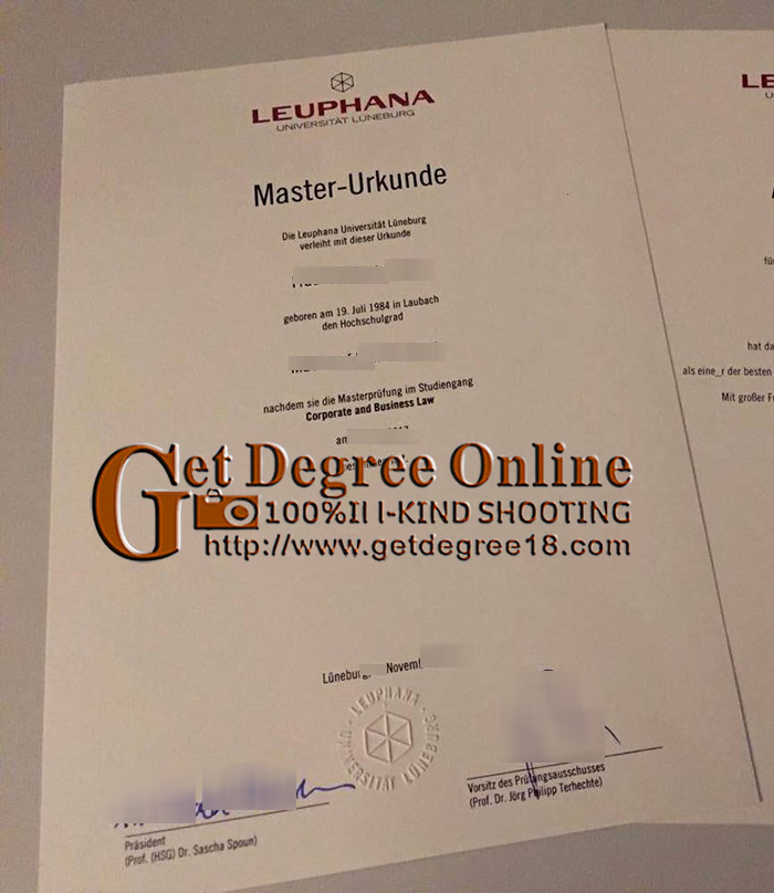 Fake Leuphana University of Lüneburg Urkunde