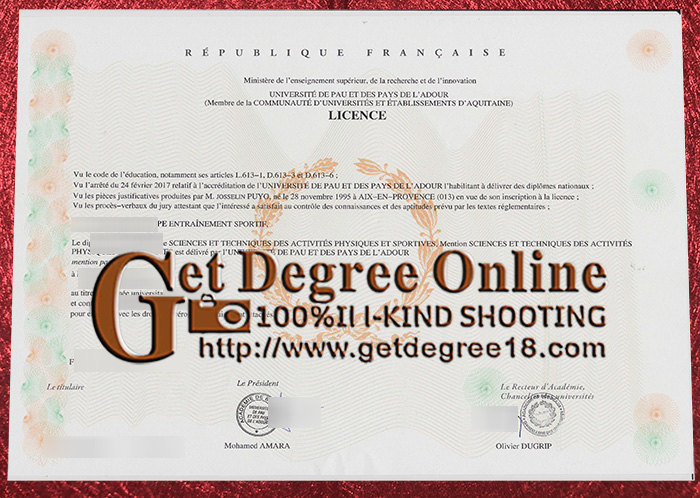 Fake UPPA Diploma