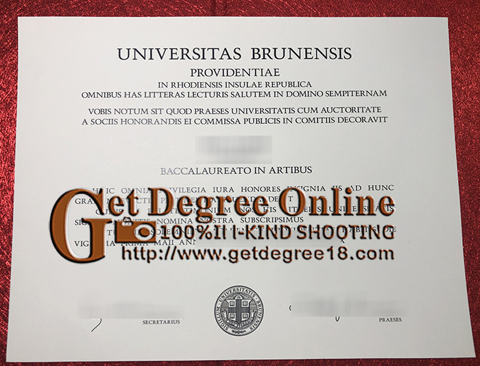 Fake Universitas Brunensis Diploma
