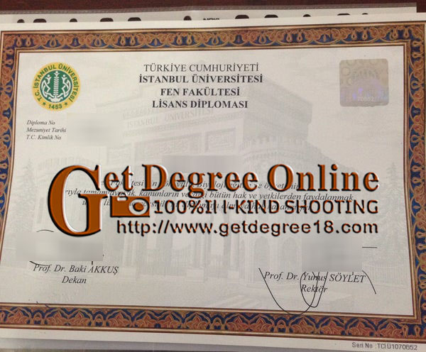 Fake Istanbul University Diploma