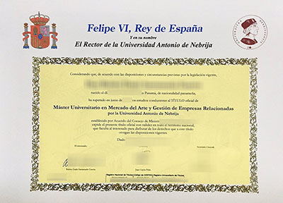 Universidad Nebrija Diploma