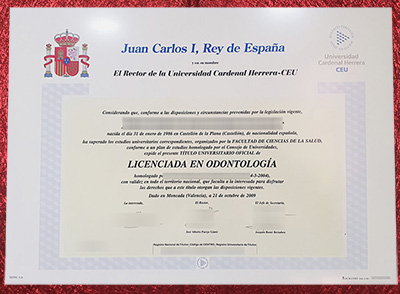 Universidad CEU Cardenal Herrera Diploma