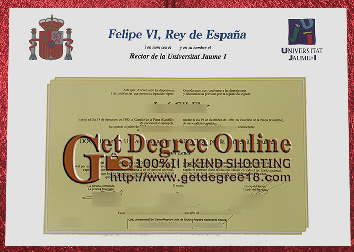 Universidad Jaime I Diploma