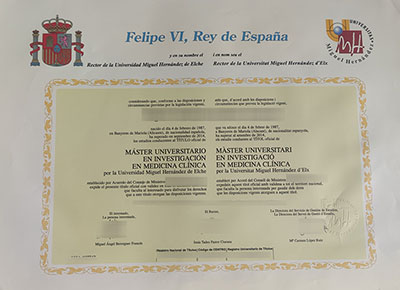 UMH Diploma