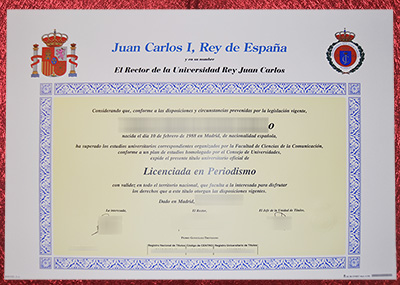 Universidad Rey Juan Carlos Diploma