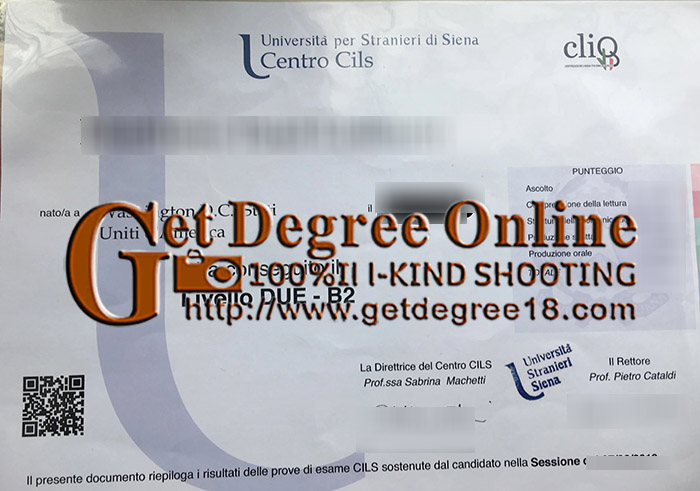 CILS livello DUE - B2 Certificate