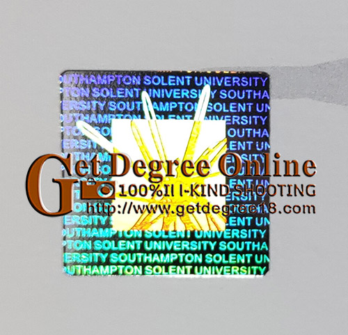 Solent University Degree seal