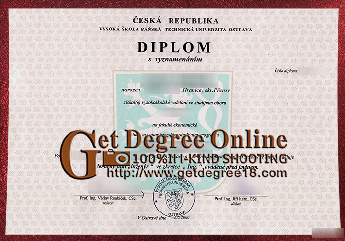VSB–TUO Diploma