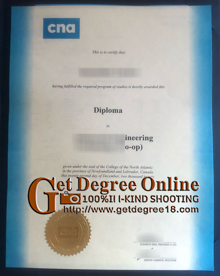 CNA Diploma