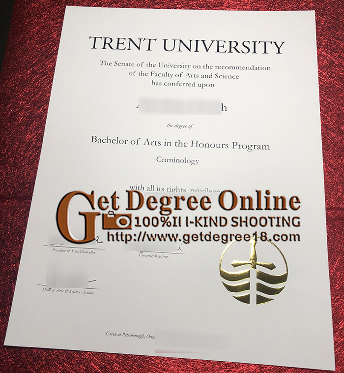 Trent University Diploma