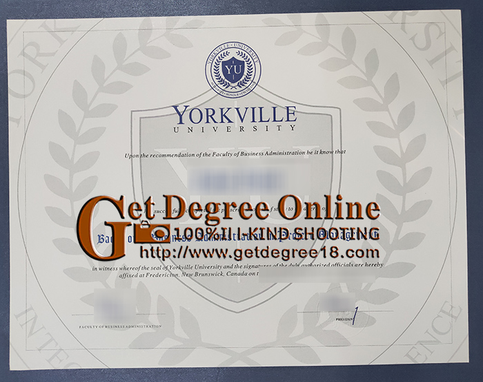 Yorkville University Diploma