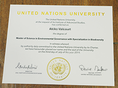 Read more about the article Where to buy United Nations University degree,buy UNU diploma.