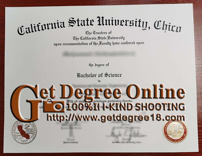 buy CSU fake diploma