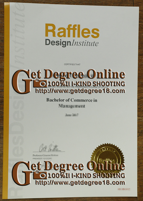 Raffles Design Institute BCM degree sample, buy Singapore diploma