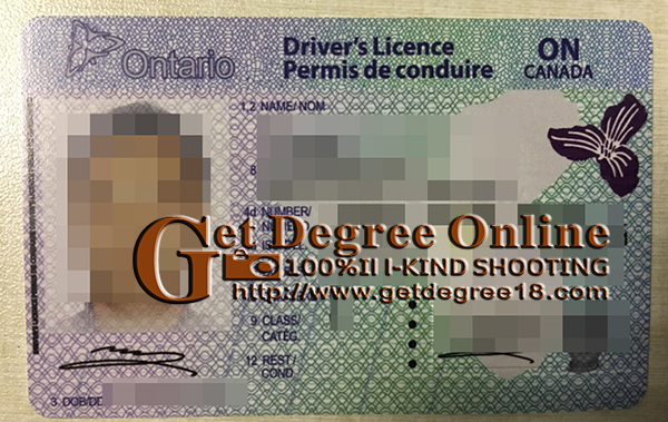 purchase  fake Canadian driver's license