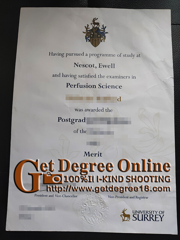  University of Surrey diploma.