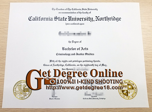 CSUN degree