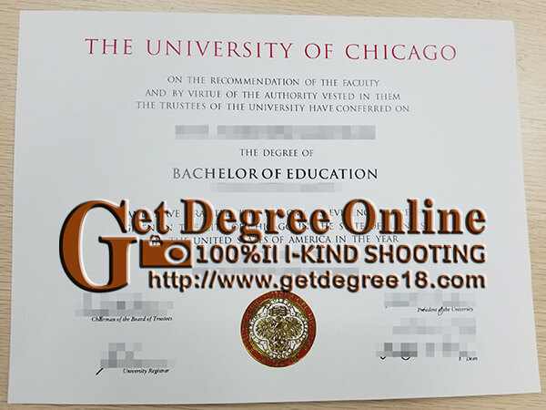 University of Chicago degree