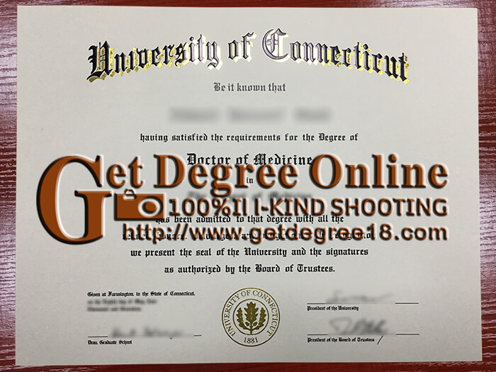 University of Connecticut certificate