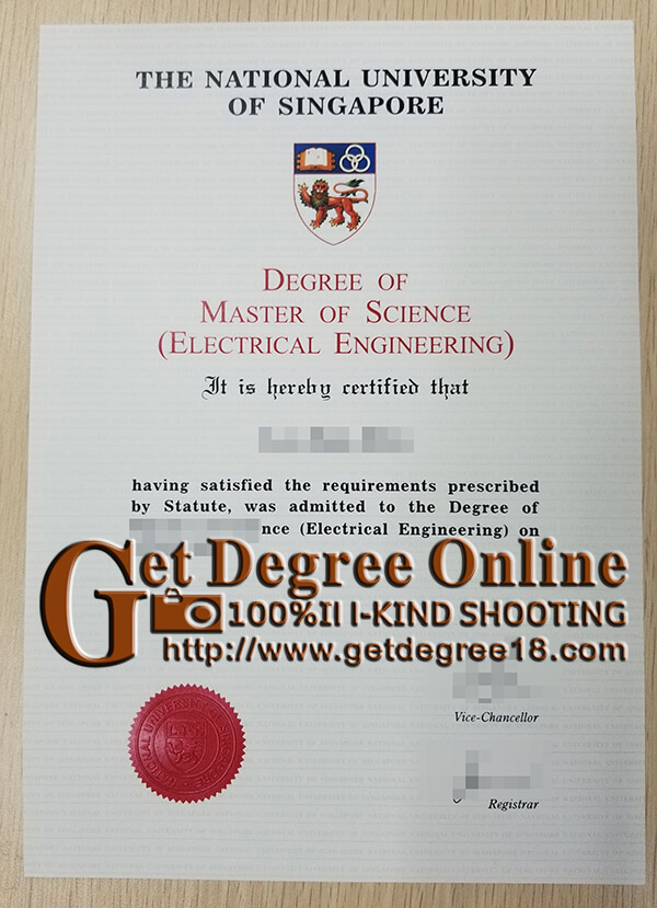 NUS degree certificate