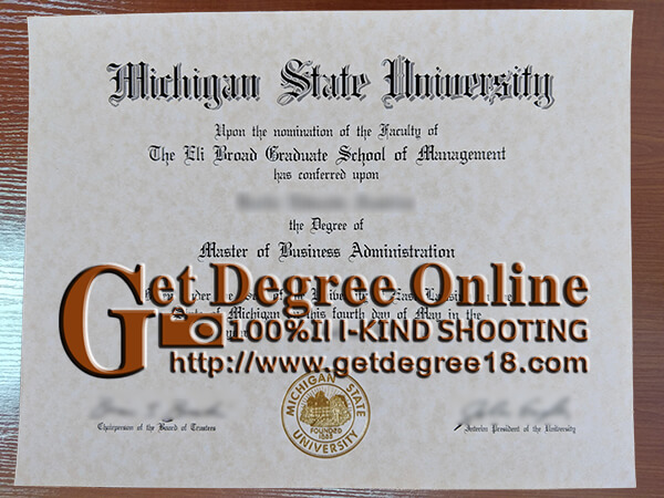 Michigan State University Degree