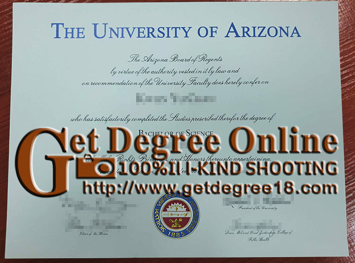 University of Arizona degree