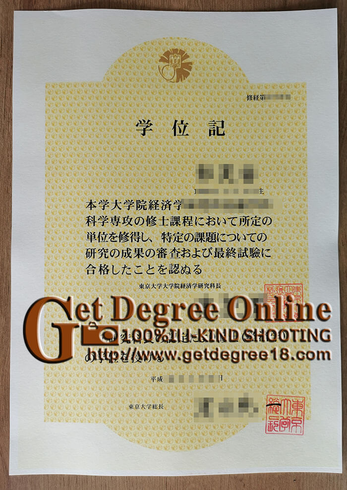 University of Tokyo degree