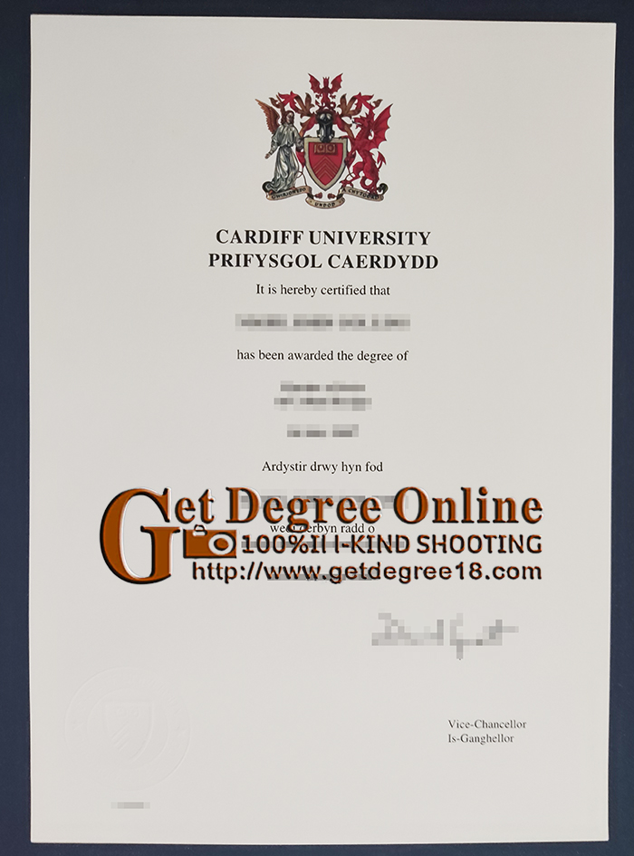 Cardiff University degree